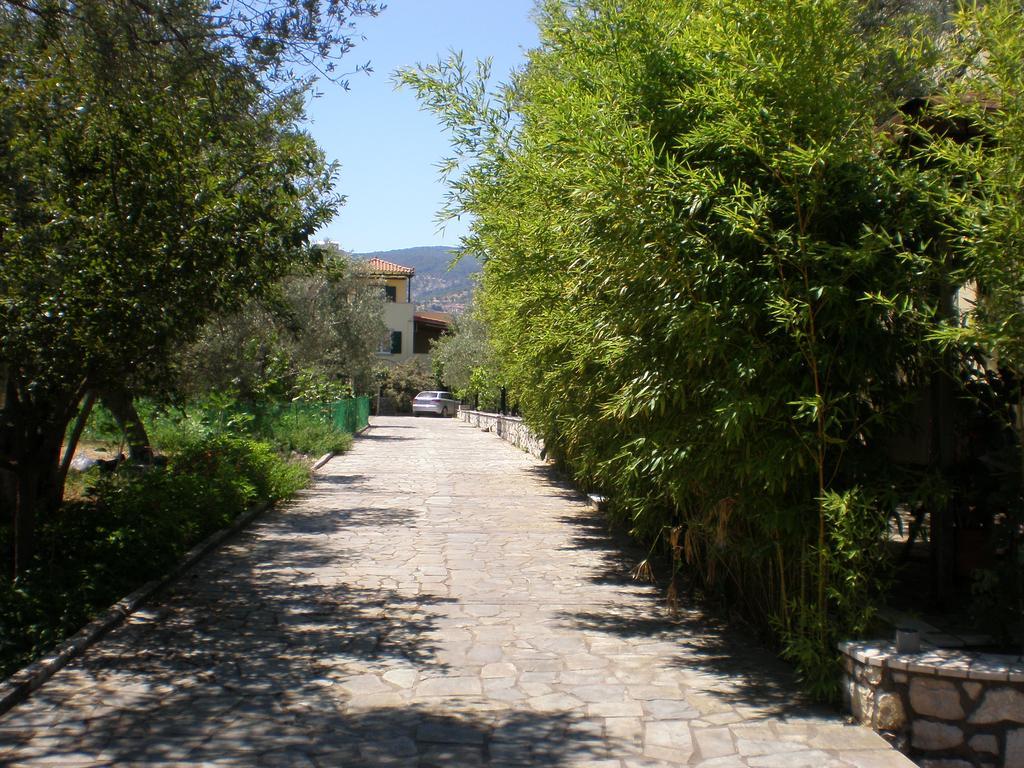 Vasiliki Studios Петра Экстерьер фото