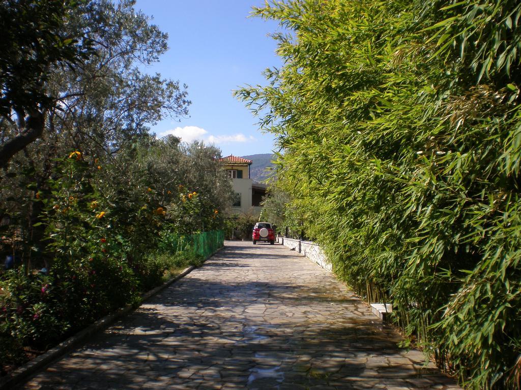 Vasiliki Studios Петра Экстерьер фото