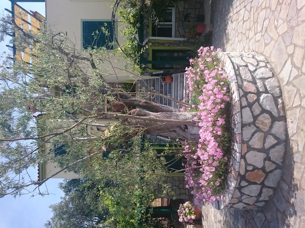 Vasiliki Studios Петра Экстерьер фото